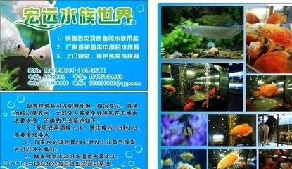 水族館里一般都有什么魚（水族館的魚類種類）