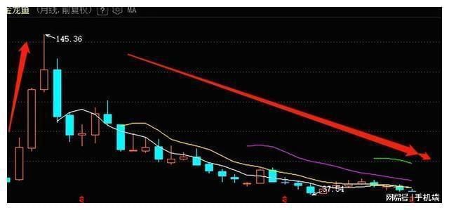 金龍魚歷史最高市值（金龍魚市值歷史最高峰曾超7800億-7900億） 龍魚百科 第1張