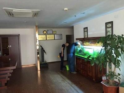 水族館去哪里拿貨好（邯鄲觀賞魚市場進(jìn)貨攻略邯鄲觀賞魚市場進(jìn)貨攻略） 水族館百科（水族館加盟） 第5張