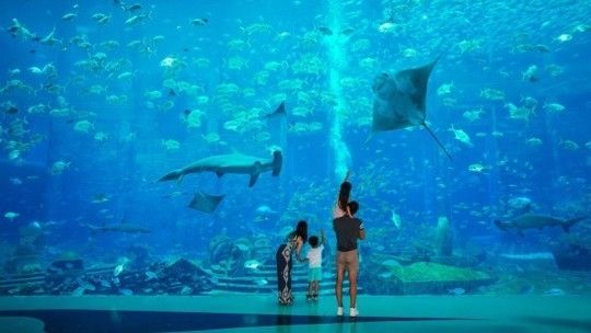 海南的水族館（三亞亞特蘭蒂斯水族館） 水族館百科（水族館加盟） 第3張