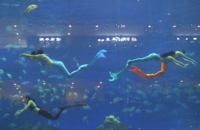 開個(gè)水族館要辦什么執(zhí)照（開水族館需辦理哪些證件） 水族館百科（水族館加盟） 第5張