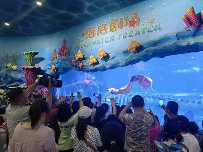 祥龍水族館親子活動(dòng)時(shí)間表（祥龍水族館親子活動(dòng)時(shí)間表相關(guān)內(nèi)容） 水族館百科（水族館加盟） 第4張