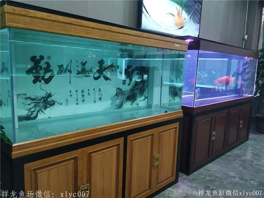 祥龍水族館互動(dòng)體驗(yàn)項(xiàng)目（祥龍水族館互動(dòng)體驗(yàn)項(xiàng)目介紹） 水族館百科（水族館加盟） 第4張