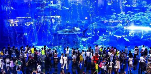 水族館門面圖片（關(guān)于水族館門面圖片的分析） 水族館百科（水族館加盟） 第5張