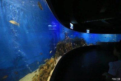 水族館門面圖片（關(guān)于水族館門面圖片的分析） 水族館百科（水族館加盟） 第2張