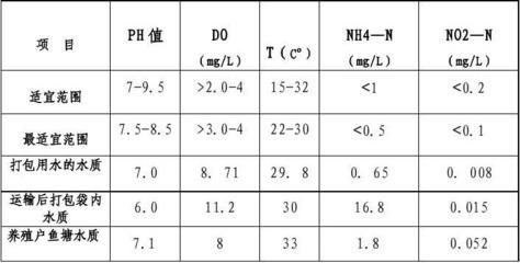 銀龍魚魚鰭有白點（銀龍魚的白點問題如何處理？） 水族問答 第1張