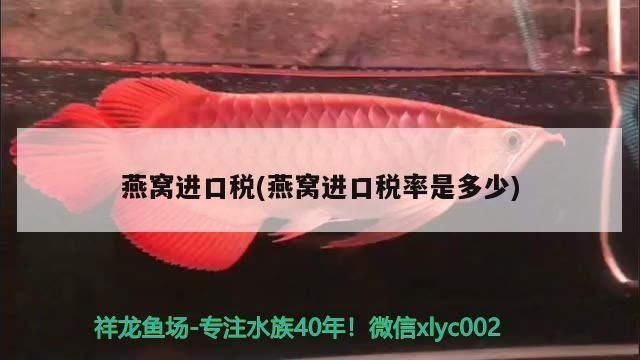 燕窩進口稅率變動趨勢分析（2018年燕窩進口稅率調(diào)整的主要趨勢預測,燕窩進口渠道優(yōu)化策略） 馬來西亞燕窩 第2張