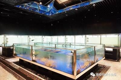 開水族館需要多少錢費(fèi)用（開一個(gè)水族館需要多少費(fèi)用） 水族館百科（水族館加盟） 第5張