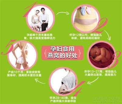 燕窩對(duì)孕婦的具體益處（孕婦如何科學(xué)食用燕窩） 馬來西亞燕窩 第5張