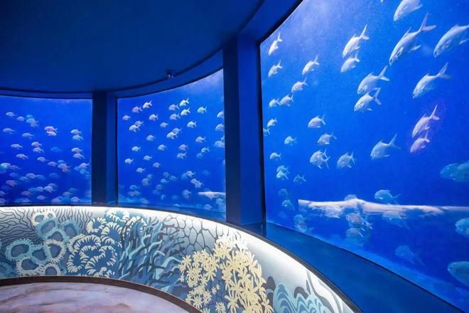 水族館里有什么東西（水族館是一個(gè)展示多種海洋生物的場所） 水族館百科（水族館加盟） 第5張