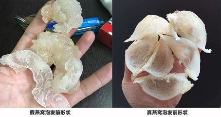 燕窩泡發(fā)后鑒別技巧（如何辨別燕窩的天然色澤） 馬來(lái)西亞燕窩 第1張