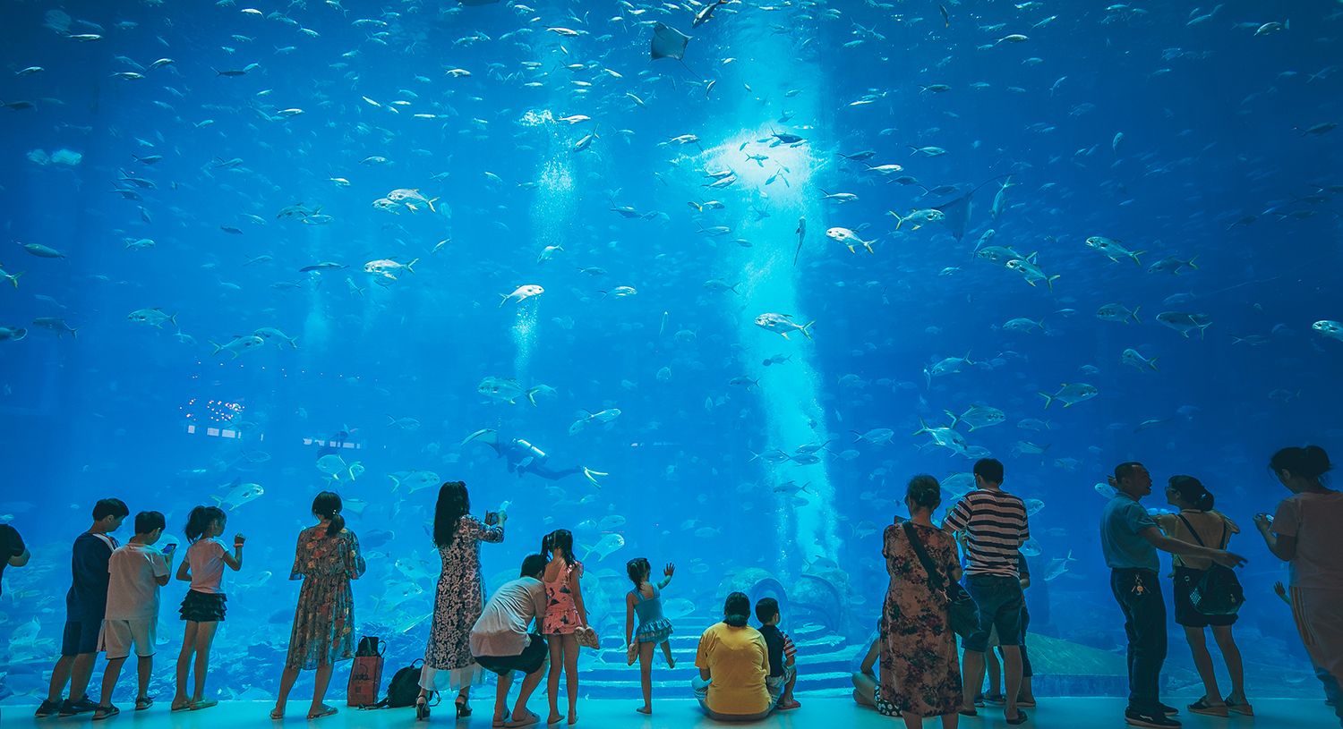 海南的水族館哪個好玩（三亞亞特蘭蒂斯水族館門票價格） 水族館百科（水族館加盟） 第3張