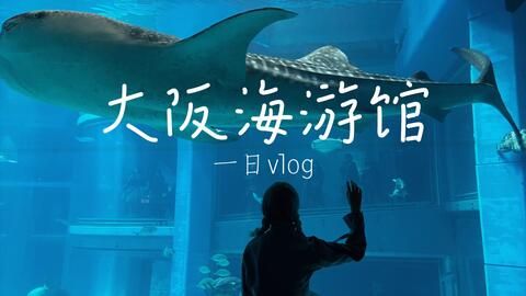 水族館vlog（水族館vlog拍攝技巧分享水族館vlog熱門話題） 水族館百科（水族館加盟） 第4張