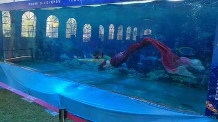 開一個水族館需要什么手續(xù)（開設(shè)一個水族館所需的手續(xù)） 水族館百科（水族館加盟） 第5張