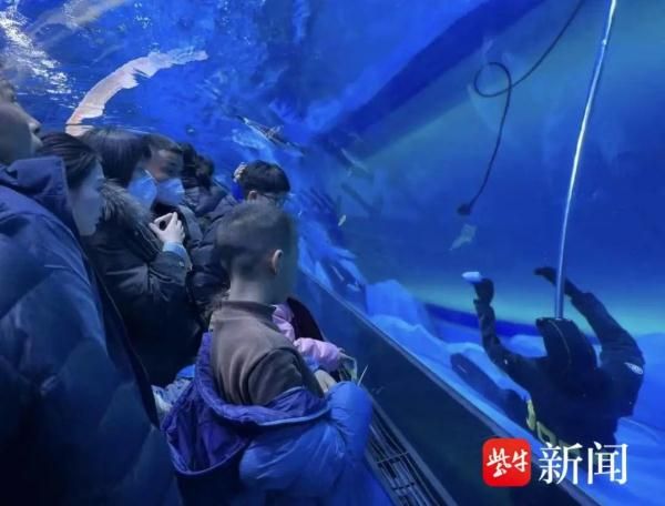 水族館工作人員叫什么（水族館員工的工作內(nèi)容）