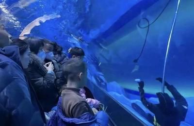 水族館工作人員叫什么（水族館員工的工作內(nèi)容）