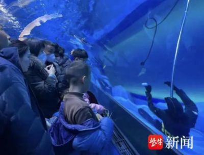 水族館工作人員叫什么（水族館員工的工作內(nèi)容） 水族館百科（水族館加盟） 第4張