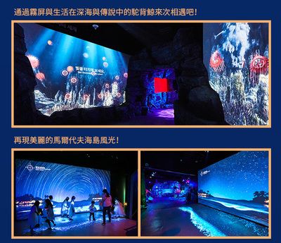 水族館 下載（水族館盈利策略解析：輕松水族館在現(xiàn)代科技和教育背景下的發(fā)展與挑戰(zhàn)）