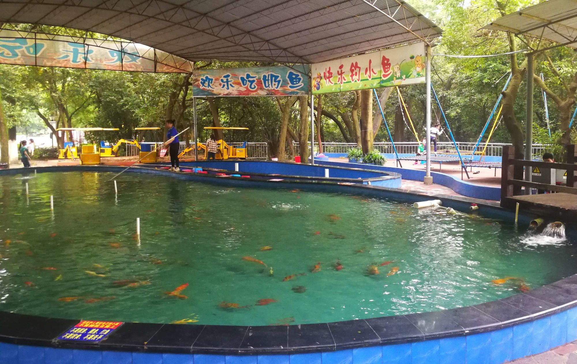 水族館兒童釣魚（水族館兒童釣魚活動(dòng)對(duì)兒童的認(rèn)知發(fā)展的影響） 水族館百科（水族館加盟） 第4張