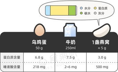 燕窩蛋白質(zhì)含量對(duì)比其他食物（燕窩的營養(yǎng)價(jià)值全面解析,燕窩適合哪些人群食用？） 馬來西亞燕窩 第6張