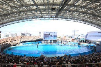 水族館游玩時(shí)間多久（上海水族館游玩時(shí)間因個(gè)人興趣和活動(dòng)安排而異） 水族館百科（水族館加盟） 第5張