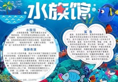 一般水族館都賣些什么魚？（水族館售賣的魚類種類繁多，） 水族館百科（水族館加盟） 第5張