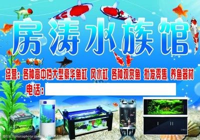 一般水族館都賣些什么魚？（水族館售賣的魚類種類繁多，） 水族館百科（水族館加盟） 第4張