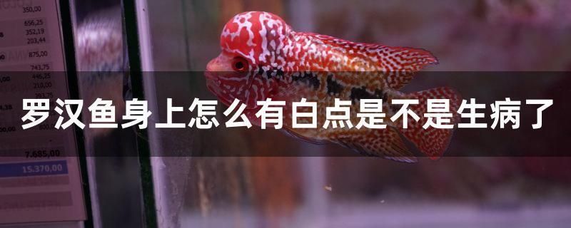 雷龍魚白點病能自己好么（如何正確給雷龍魚用藥，雷龍魚白點病的自然療法） 龍魚百科 第4張