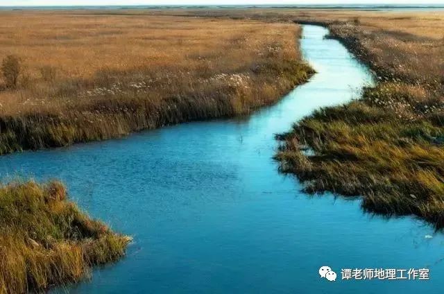 銀龍魚嘴撞爛了多久能好啊視頻（銀龍魚嘴撞爛后，傷口需要多長時(shí)間才能愈合？） 水族問答 第2張