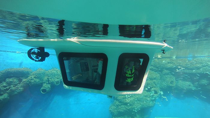 成都水族館在哪里（成都水族館親子活動安排）