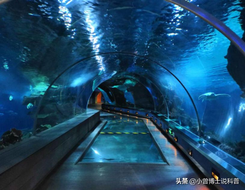 水族館建造費(fèi)用多少錢(qián)一平方（水族館建造費(fèi)用具體多少錢(qián)一平方） 水族館百科（水族館加盟） 第4張