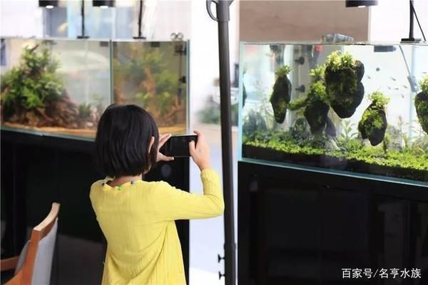 開家水族館利潤(rùn)怎么樣啊多少錢（開家水族館的利潤(rùn)和成本取決于多個(gè)因素取決于多個(gè)因素） 水族館百科（水族館加盟） 第5張