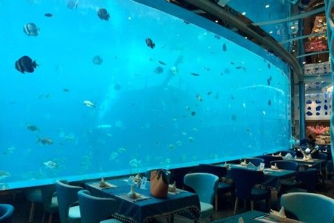 水族館餐廳（上海海洋水族館）