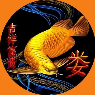 金龍魚頭像（金龍魚頭像與個人品牌建設(shè)的關(guān)系金龍魚頭像與個人形象的關(guān)系） 龍魚百科 第2張