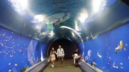 水族館的英文（世界著名水族館介紹水族館的英文是\