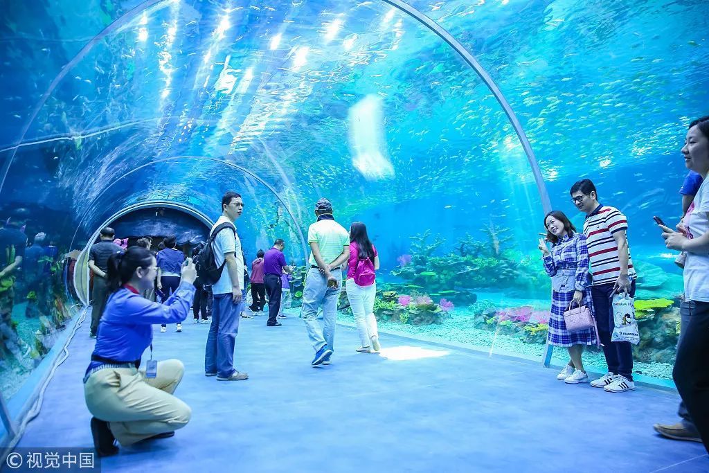 水族館行業(yè)投資機(jī)會(huì)分析（水族館行業(yè)具有廣闊的投資潛力） 水族館百科（水族館加盟） 第4張