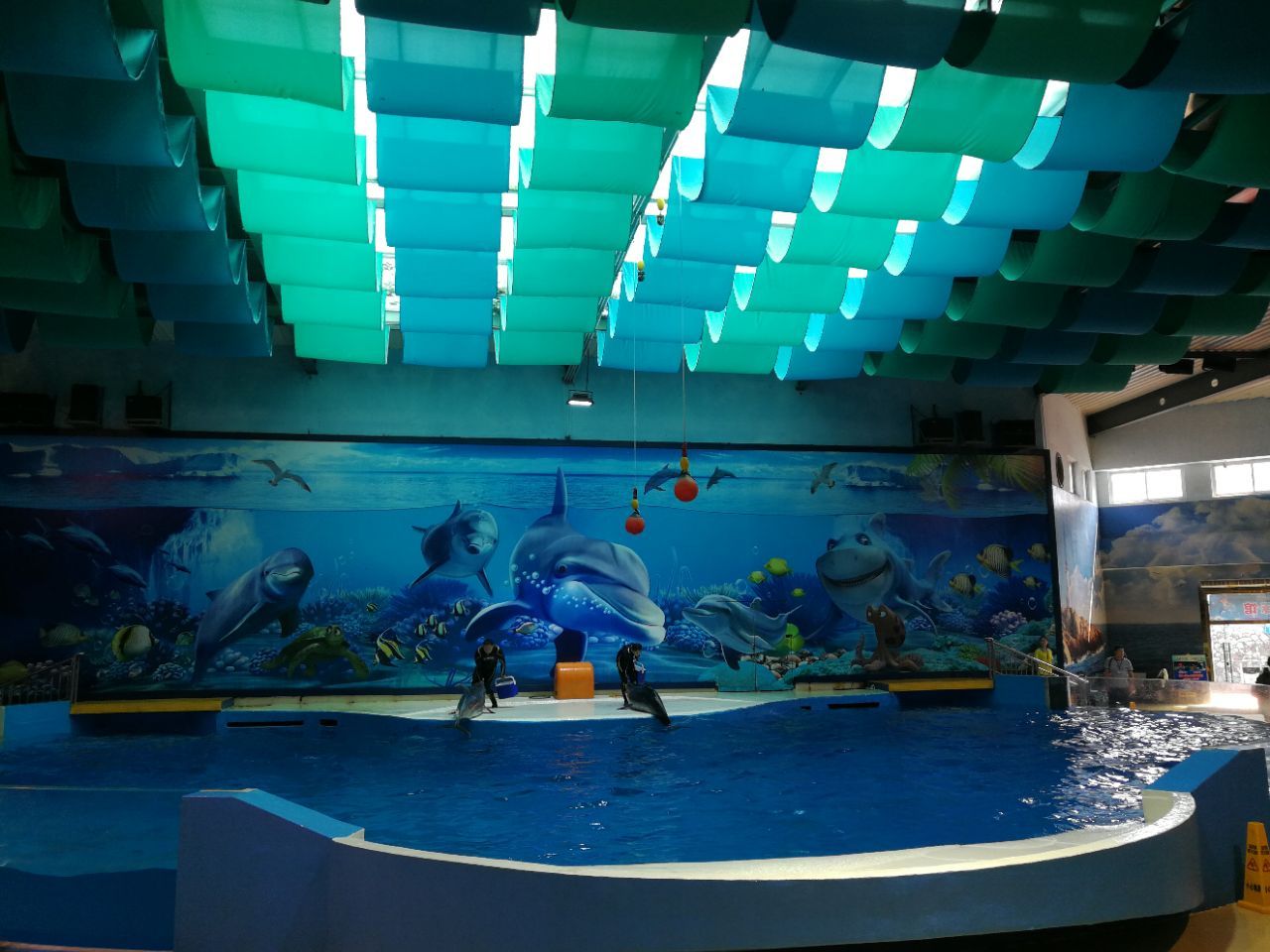 水族館哪里的比較好玩（上海海洋水族館） 水族館百科（水族館加盟） 第5張