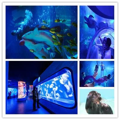 水族館哪里的比較好玩（上海海洋水族館） 水族館百科（水族館加盟） 第4張