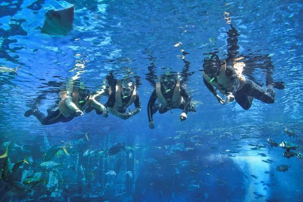 海南水族館門票多少錢（三亞亞特蘭蒂斯水族館門票價格）