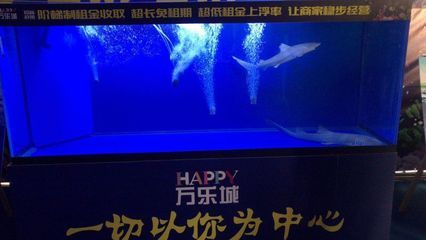 開一家水族館需要些什么證件呢視頻（開一家水族館需要些什么證件呢視頻詳情）