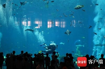 高端水族館（三亞亞特蘭蒂斯水族箱優(yōu)惠活動魚寶貝水族箱優(yōu)惠活動） 水族館百科（水族館加盟） 第1張