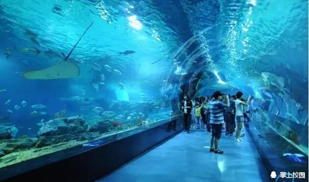 高端水族館（三亞亞特蘭蒂斯水族箱優(yōu)惠活動魚寶貝水族箱優(yōu)惠活動）