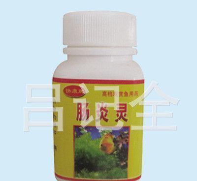 龍魚特效抗菌藥物（龍魚特效抗菌藥物使用誤區(qū)）