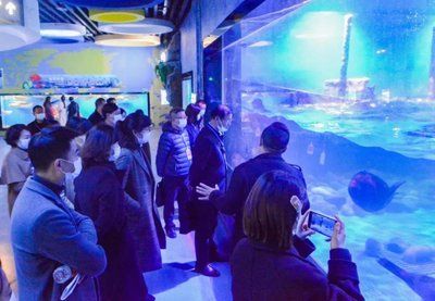 水族館前景發(fā)展趨勢（中國水族館行業(yè)發(fā)展研究分析與發(fā)展趨勢預(yù)測與發(fā)展趨勢） 水族館百科（水族館加盟） 第4張