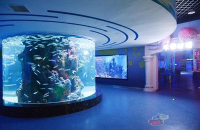 水族館免費(fèi)開放時(shí)間（徐州市水族展覽館2023年免費(fèi)開放時(shí)間詳情）