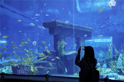 水族館免費(fèi)開放時(shí)間（徐州市水族展覽館2023年免費(fèi)開放時(shí)間詳情） 水族館百科（水族館加盟） 第5張