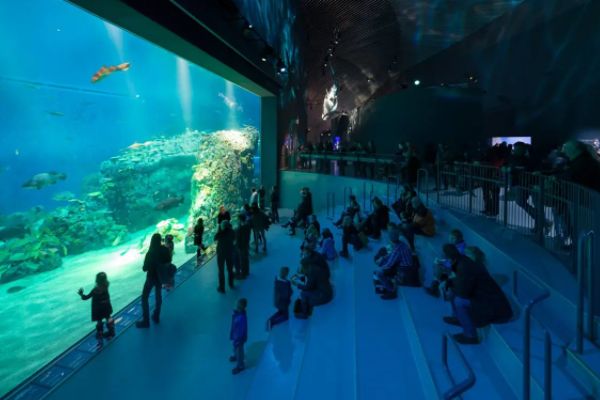 水族館發(fā)展前景怎么樣知乎（水族館行業(yè)發(fā)展趨勢(shì)） 水族館百科（水族館加盟） 第2張