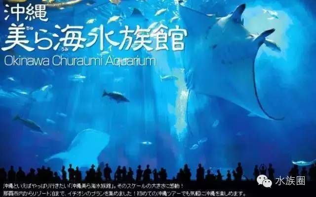 水族館排行榜第一名（世界最大水族館-喬治亞）