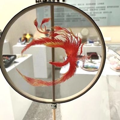 金龍魚配魚什么最好看視頻（金龍魚與其他魚類混養(yǎng)時(shí)需要注意哪些問題？） 水族問答 第1張