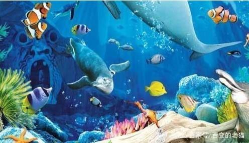 水族館簡介（水族館是一個展示，海洋生物多樣性的地方） 水族館百科（水族館加盟） 第4張